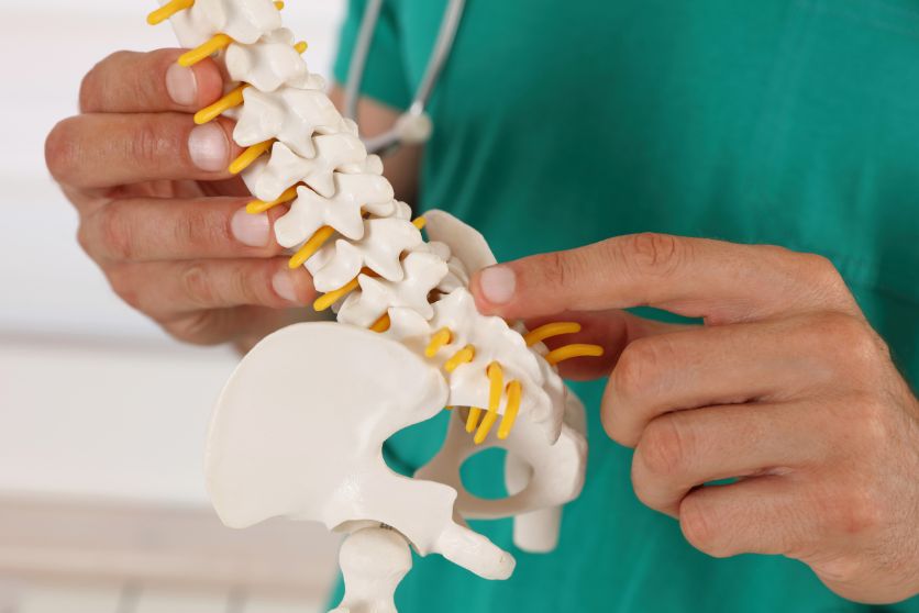 the image shows a doctor with a model of the spine, representing an article on back injuries and workers' comp.
